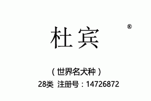 杜宾,28类商标,玩具,棋,运动用球,锻炼器械,体育活动器械,护膝,轮滑鞋商标