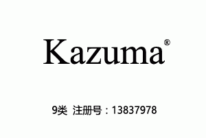 Kazuma,9类商标,集成电路芯片商标
