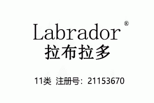 Labrador拉布拉多